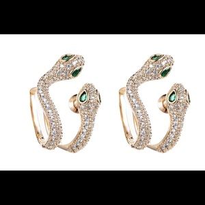 Snake 🐍 silver earrings